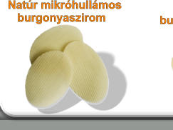 Natr mikrhullmos     burgonyaszirom
