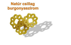 Natr csillag burgonyaszirom
