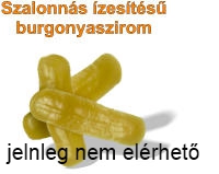 Szalonns zests    burgonyaszirom